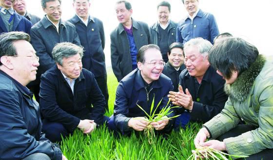 2016年10月6日國家學科小麥栽培方向?qū)W術(shù)帶頭人郭天財教授蒞臨指導